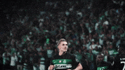 Football Soccer GIF by Sporting CP