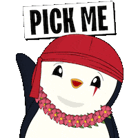 Pick Me Social Responsibility Sticker by Pudgy Penguins