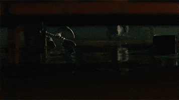 Dinosaur Dino GIF by Jurassic World