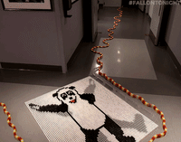 GIF by The Tonight Show Starring Jimmy Fallon