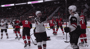 ice hockey GIF by NHL