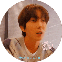 Lee Joon Gi Smile Sticker