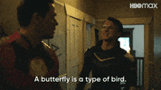 Dc Butterfly GIF by HBO Max