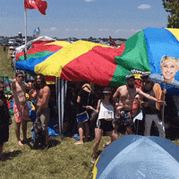 GIF by Bonnaroo Music and Arts Festival