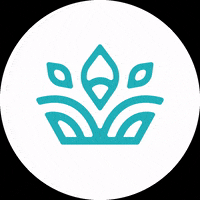 GIF by Yoga Nyla