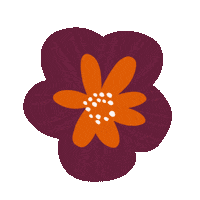 Flowers Colorfully Sticker