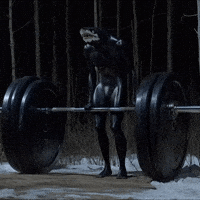 doopiidoo fail forest shark barbell GIF