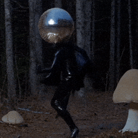 doopiidoo dance disco forest discoball GIF