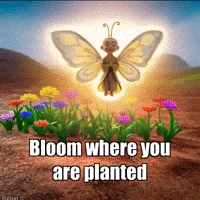 Buddhafly Character GIF by BuddhaFlyJourney