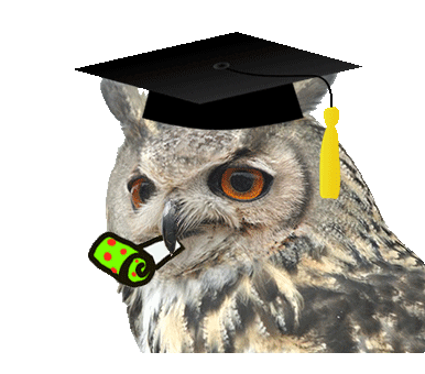 Owl Graduation Sticker by Háskóli Íslands