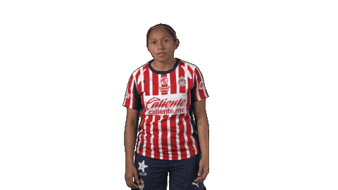 Liga Mx Futbol Sticker by Chivas Oficial