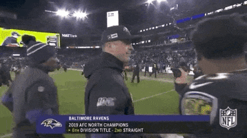 Regular Season Football GIF by NFL