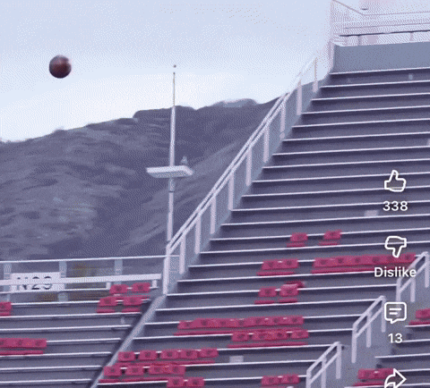 Utah Utes GIF
