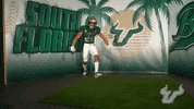 South Florida Flex GIF by USF Athletics