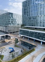 Shenzhen Streets Deserted Amid Coronavirus Lockdowns and Mass Testing