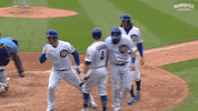 Cubs GIF by Marquee Sports Network
