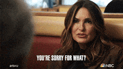 Season 23 Episode 21 GIF by Law & Order