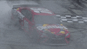 kyle busch win GIF by NASCAR