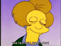 Season 1 GIF by The Simpsons