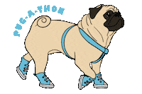 pugrescueaustin pug pra pugrescueofaustin pugathon Sticker