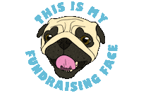 pugrescueaustin pug fundraiser pra pugrescueofaustin Sticker