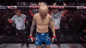 Mixed Martial Arts Sport GIF by UFC