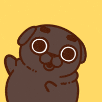 Look Here Omg GIF by Puglie Pug