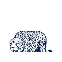 South Alabama Jaguar Sticker by University of South Alabama
