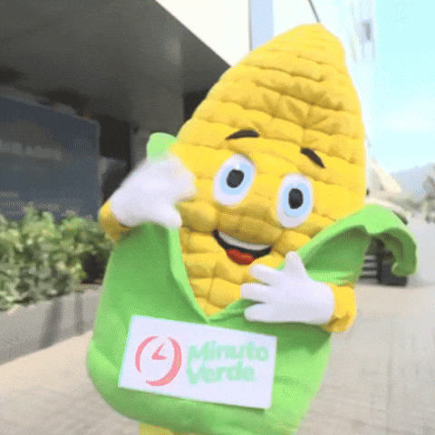 GIF by Minuto Verde