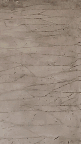 Simongip giphyupload GIF