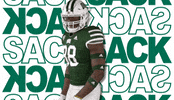 GIF by Ohio Bobcats