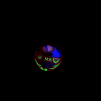 fikrialaajans ajans fikriala fikrialaajans GIF