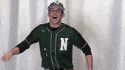 Collegebaseball Ncaadii GIF by RiverHawk Sports