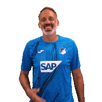Sport Bundesliga Sticker by TSG Hoffenheim