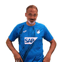Sport Bundesliga Sticker by TSG Hoffenheim