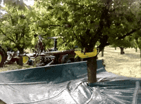 Way Pick GIF