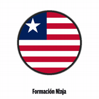 Flag Bandera GIF by Formación Ninja