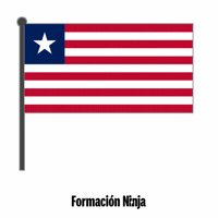 Flag Bandera GIF by Formación Ninja