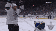 happy ice hockey GIF by NHL