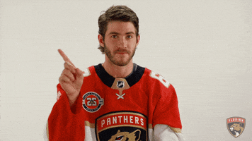 florida panthers hockey GIF