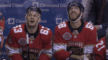 Amused Ice Hockey GIF by NHL