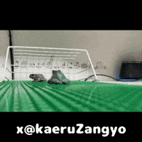kaeruZangyo soccer frog pk かえる GIF