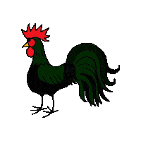 Rooster Hahn Sticker