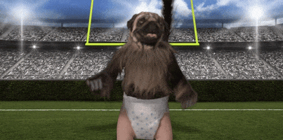 Super Bowl 2016 Dancing GIF by Mountain Dew