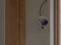 photography book GIF by hateplow