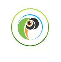Turismo Aracaju Sticker by Papagaios Tour