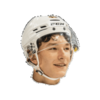 Hockey Ohl Sticker by OttersHockey