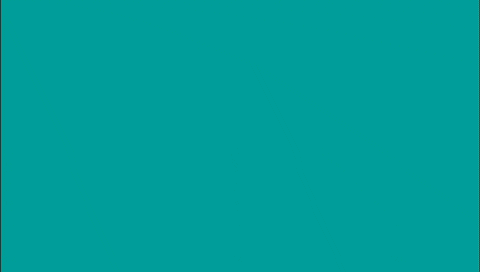 DesignRush giphyupload GIF