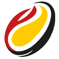 Rugby Match Sticker by RugbyBergamo