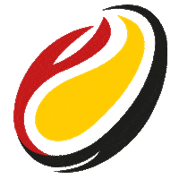 Rugby Match Sticker by RugbyBergamo